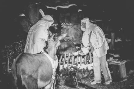 Predstava Božična noč pri Ivanovem izviru, sezona 2014-2015 23